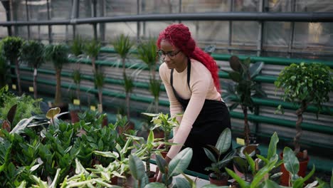 stylish multiethnic florist woman take care over plants on the floral store, arrange them on the rack