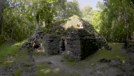 view of ancient maya structures at la muerta, a hidden archaeological site in the jungle of el petén, guatemala. the ruins are partially covered by forest, evoking mystery and lost civilization.