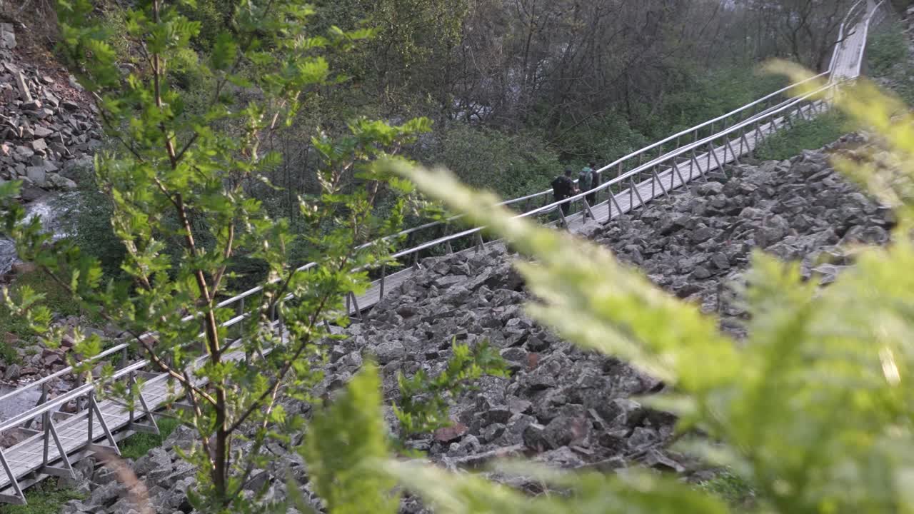 스웨덴 세르나(särna)에 있는 가문비나무와 바위투성이 지형으로 둘러싸인 풀루피야레 국립공원(fulufjället national park) 한가운데에 있는 나무 산책로를 따라가는 두 등산객의 높은 앵글 와이드 샷