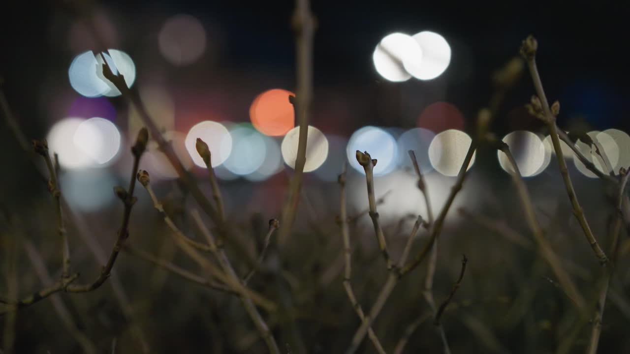 Blurred view of colorful city lights at night with budding tree branches in the foreground