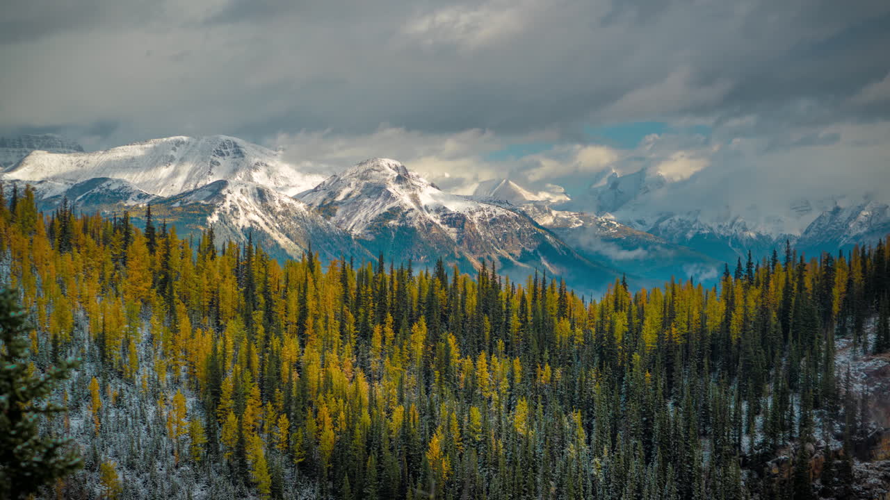 lapso de tiempo, colorido paisaje canadiense en otoño, bosque de alerces y coníferas bajo picos nevados y nubes