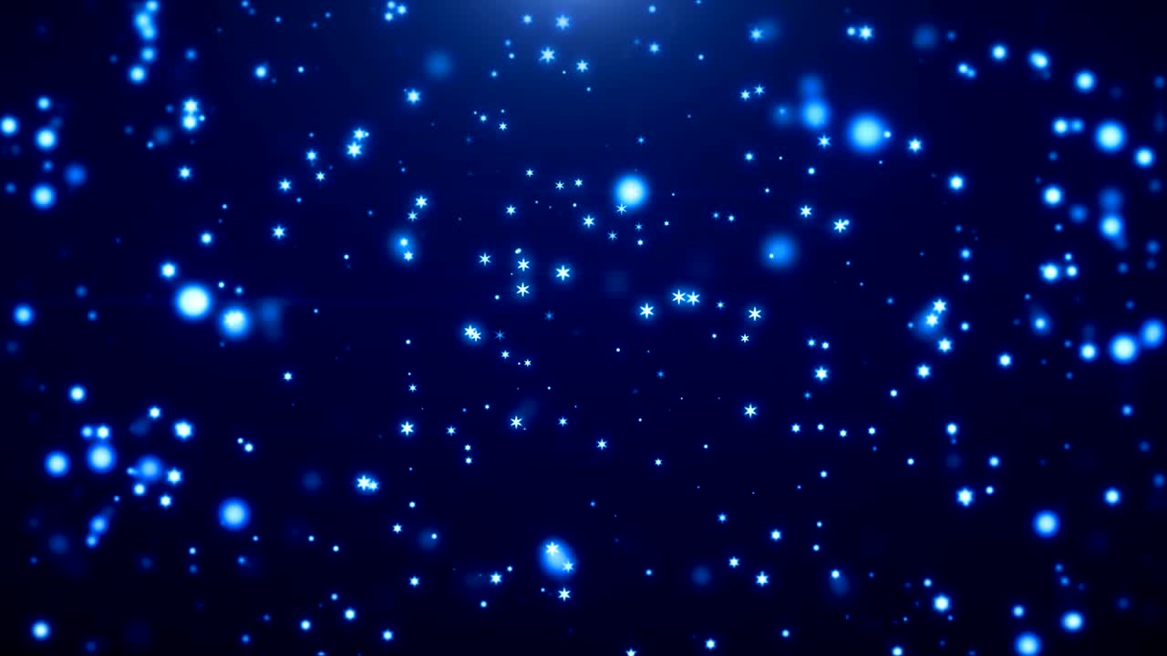 크리스마스 입자