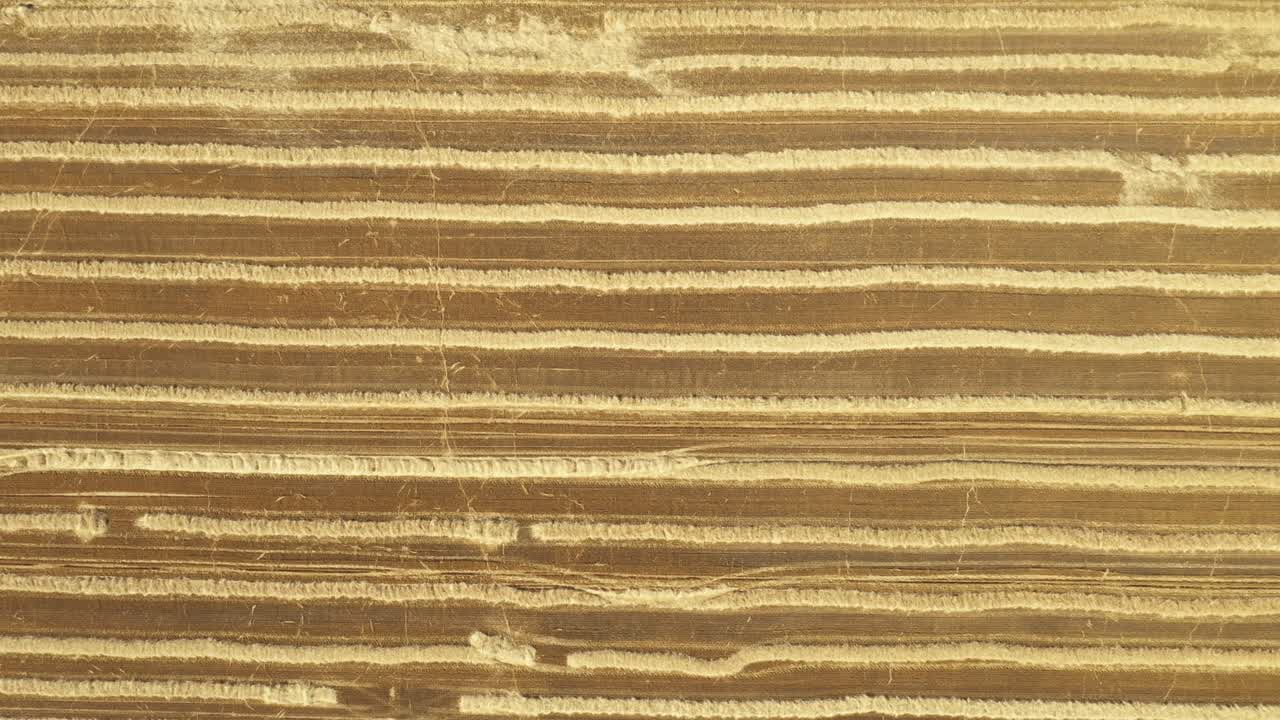 Aerial view of field with lined straw bales on farm fields