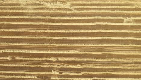 Aerial view of field with lined straw bales on farm fields