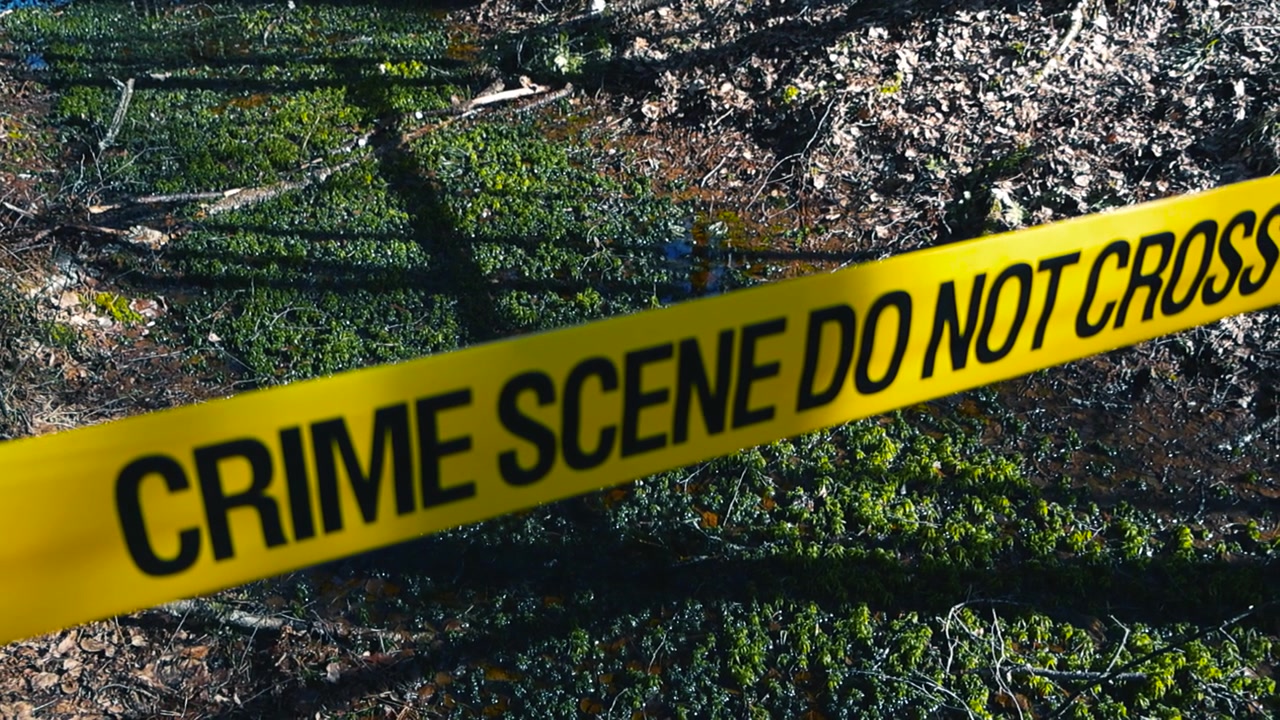 Yellow police tape with Crime Scene Do Not Cross text is stretched across a marshy or wooded area, securing the perimeter of an active investigation site during a sunny day