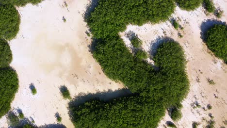 antena de arriba hacia abajo sobre la laguna de oviedo en el parque nacional jaragua, pedernales, república dominicana