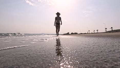 a lone figure strolls barefoot on a serene beach, reflecting on the waves glistening under the warm sunlight. palm trees sway gently in the background, creating a peaceful atmosphere