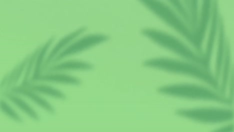 animación de un patrón floral con espacio de copia sobre un fondo verde