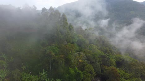 Laguna-De-Fuquene-Risaralda,-Colombia-Aerial-Nature-Dense-Forest-Fog-Humidity