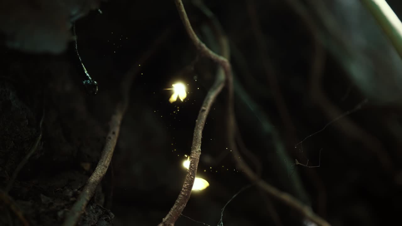 Fantasy Fairies Hovering Over Jungle Vines