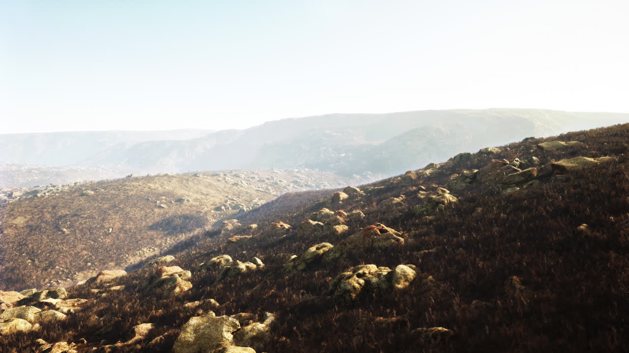 불타버린 산지 풍경 의 공중 사진