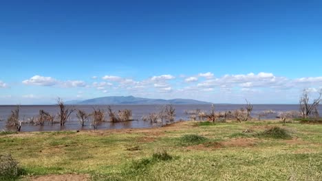 Establisher-shot-of-Manyara-mountainous-lake-landscape-with-Impala-antelopes