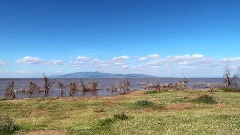 fotografía del creador del paisaje del lago montañoso manyara con antílopes impala