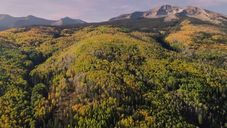 aspens turning on kebler pass, colorado
