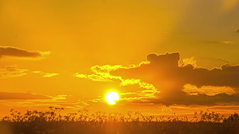 telephoto time lapse shot of bright round yellow sun setting - vivid golden sky with clouds flying right, low angle view from meadow