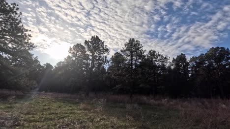 Toma-De-Timelapse-Del-Sol-Moviéndose-A-Través-Del-Cielo-A-Través-Y-Sobre-La-Línea-De-árboles