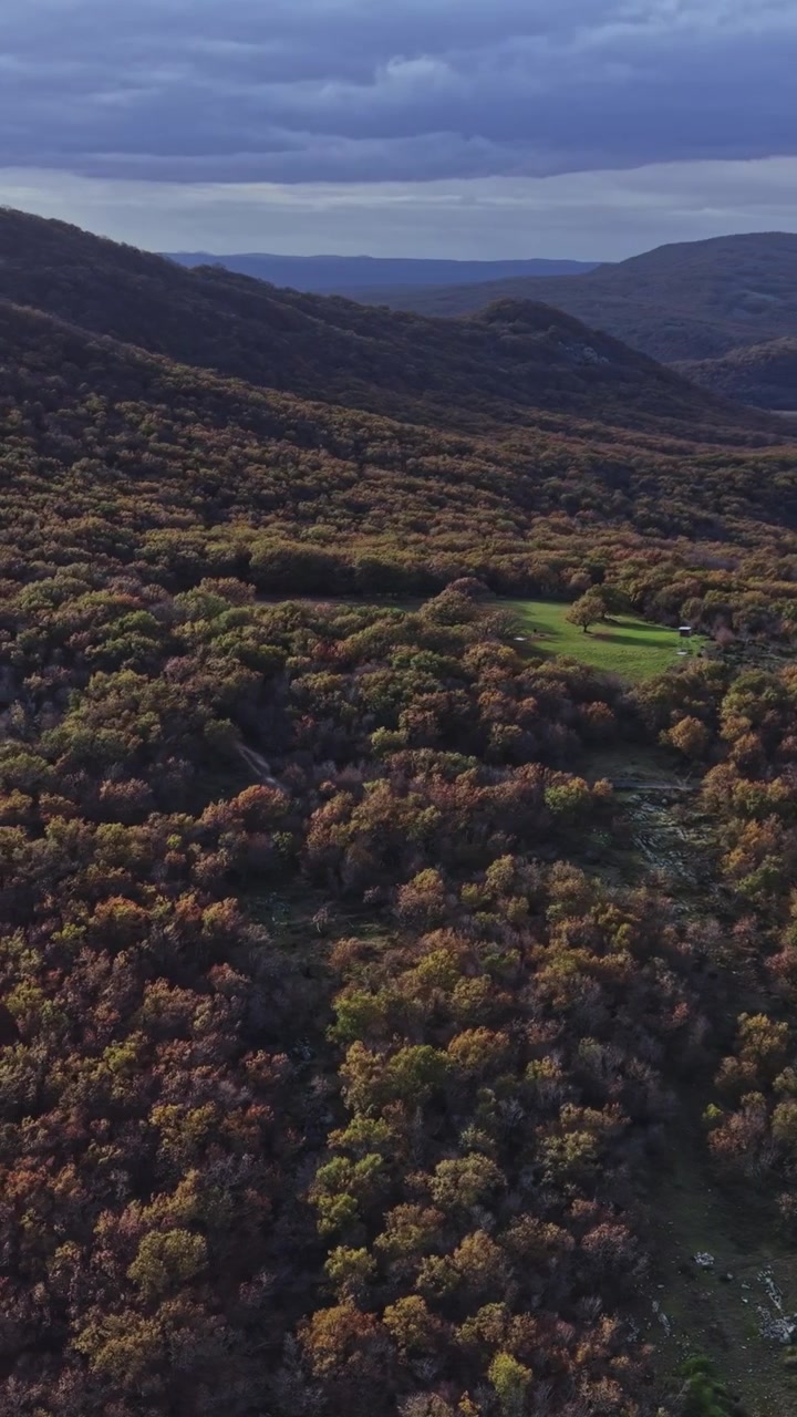 Vasto paesaggio di dolci colline e fogliame autunnale in vista aerea