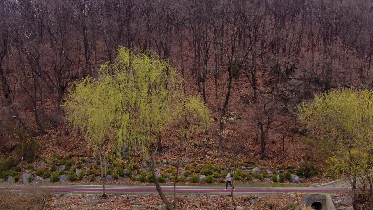 싱그러운 봄 아침의 시작