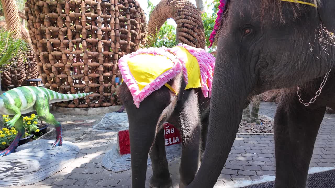 Asian elephant mother and calf Thailand Pattaya Nong Nooch Botanical Garden