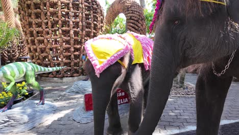asian elephant mother and calf thailand pattaya nong nooch botanical garden