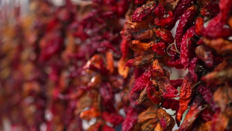 dried red chili peppers hanging