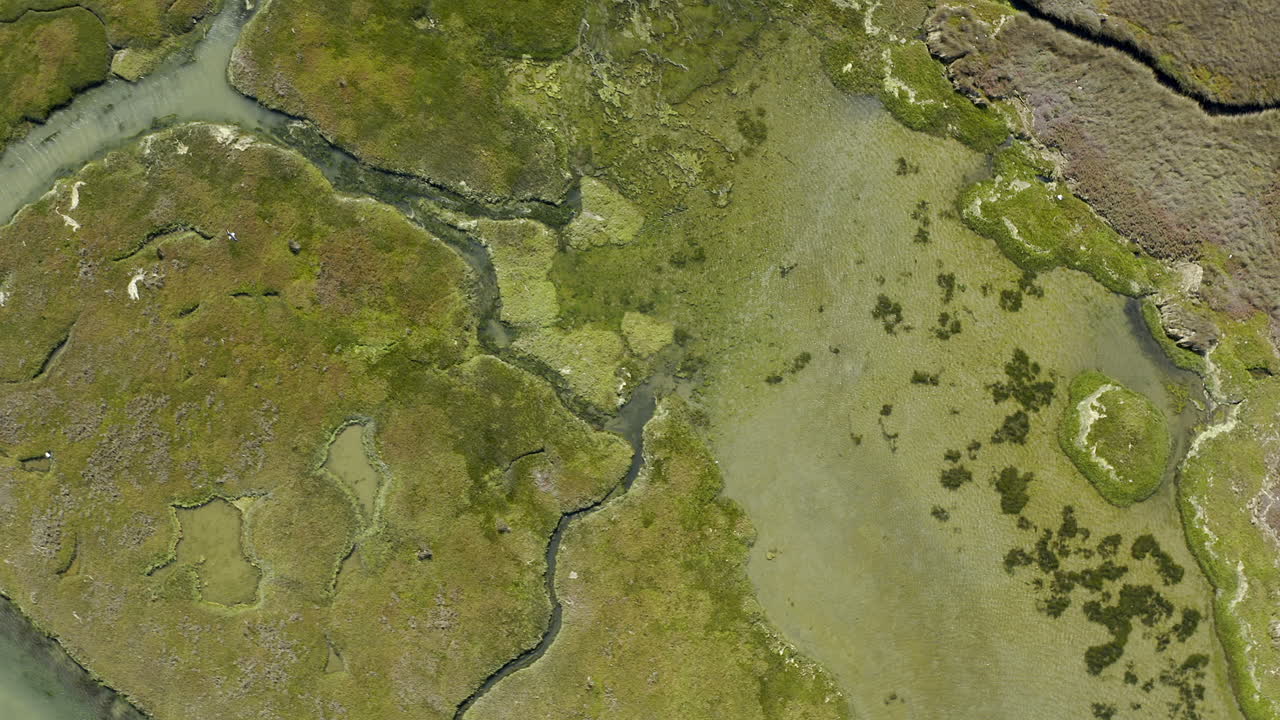 There's no art like nature's art