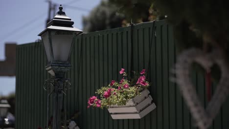 pink flowers in white planter beside classic green metal street lamp