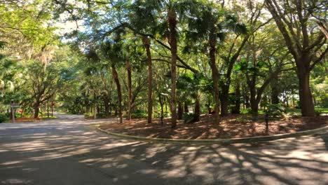 Walking-under-beautiful-Virginia-live-oak-trees-in-Hilton-Head,-South-Carolina