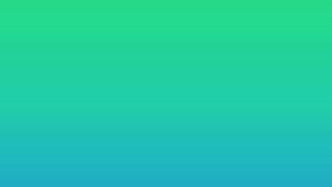 animación de texto de estilo y maquillaje en polvo sobre fondo verde