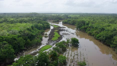vista aérea hacia adelante sobre pantanos en humedales, república dominicana