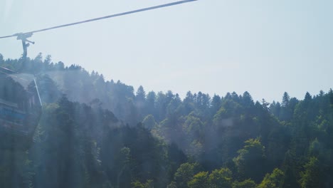 a scenic gondola ride glides over a lush green forest on a clear sunny day