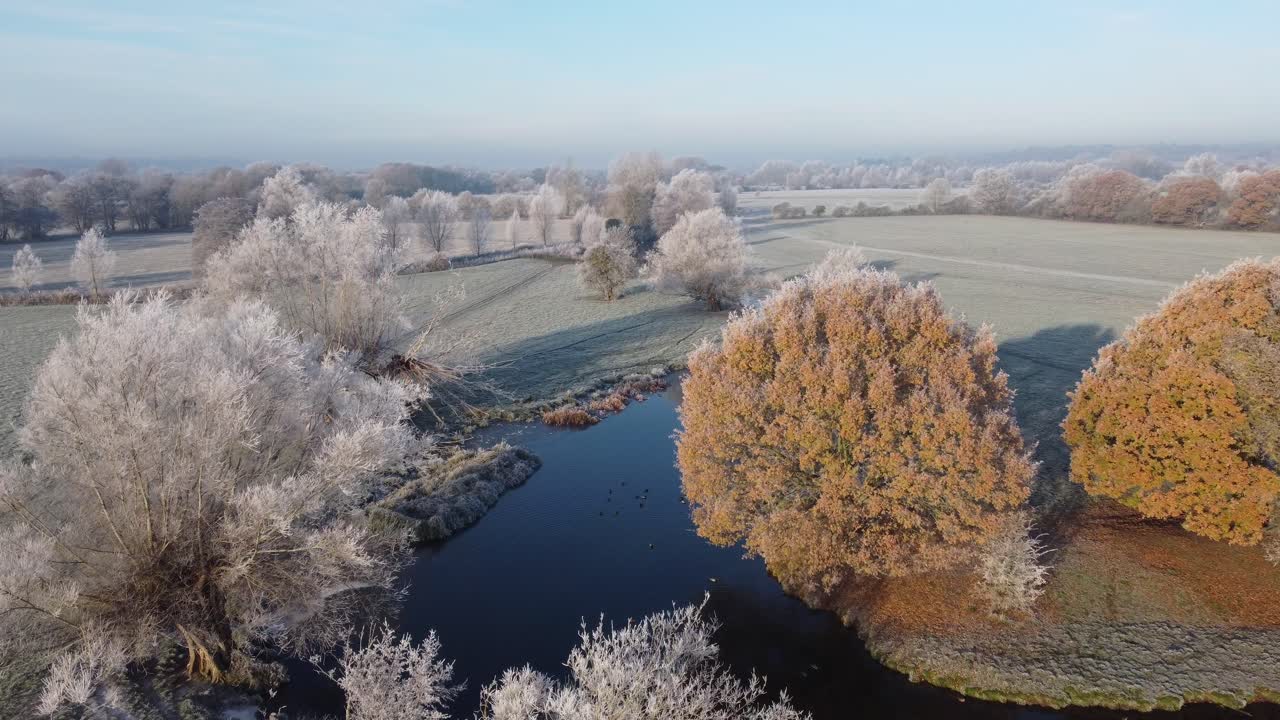 Riprese aeree che avanzano sul fiume Stour e alberi coperti di brina in una fredda mattina d'inverno.