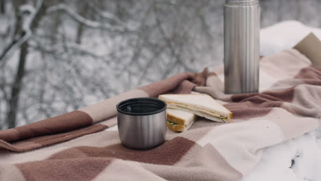 close up view of a sandwich, thermos and tea on a checkered blanket in a snowy forest