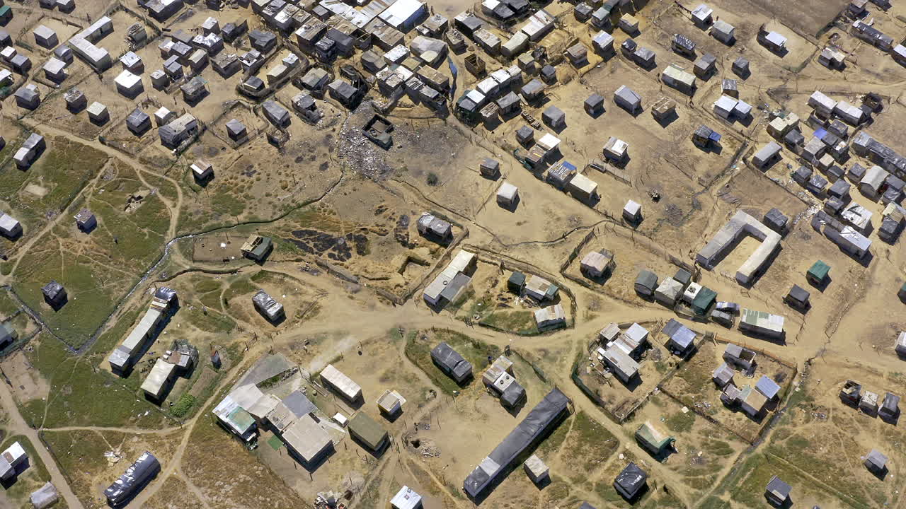 о чем должны думать птицы, когда они летают над нами?