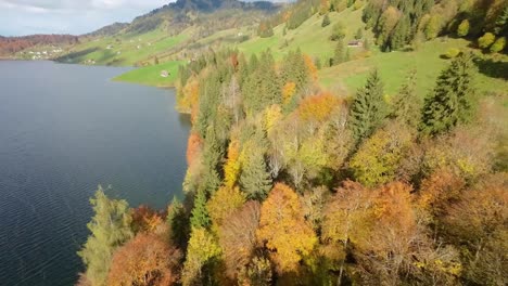 Drone-Aerial-Flight-Over-Switzerland-Lake