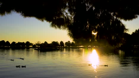 Sonnenaufgang-Am-See-Mit-Enten