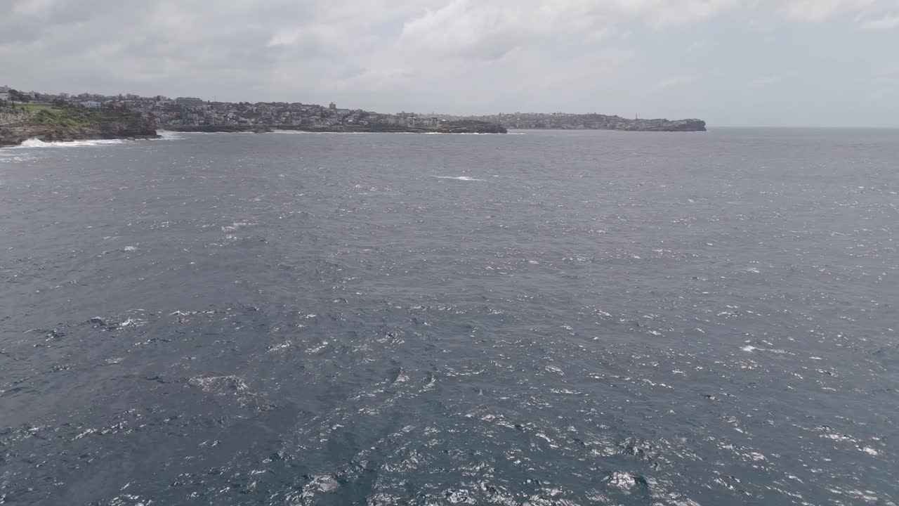 Stunning drone footage captures two humpback whales near Sydney’s eastern shore, approaching from afar as they flap tails and breach the ocean surface in a breathtaking marine wildlife spectacle.