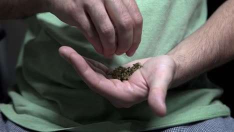 close up on man hands grinding medicinal cannabis weed in order to make a joint