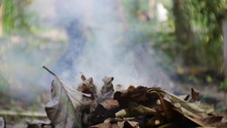 El-Fuego-Arde-Por-La-Quema-De-Residuos-De-Hojas-Secas-En-El-Patio-De-La-Casa