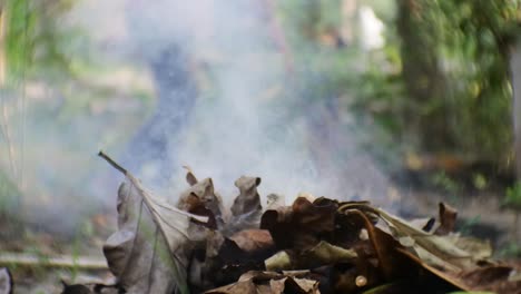 el fuego arde por la quema de residuos de hojas secas en el patio de la casa