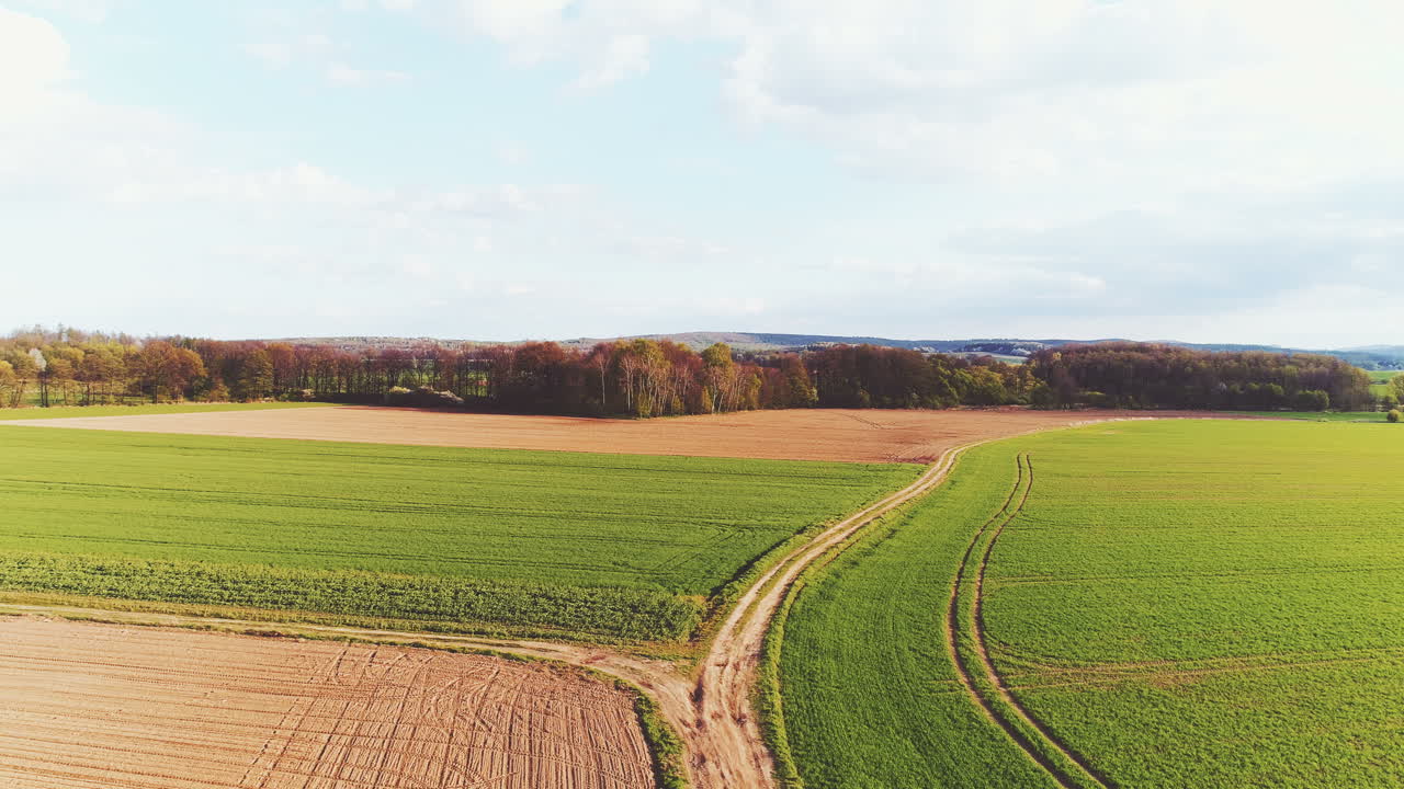 Frisch bestelltes Ackerfeld Gentechnikfreie Lebensmittelproduktion