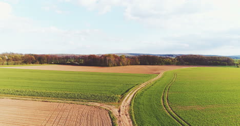 fresh cultivated agricultural field gmo free food production