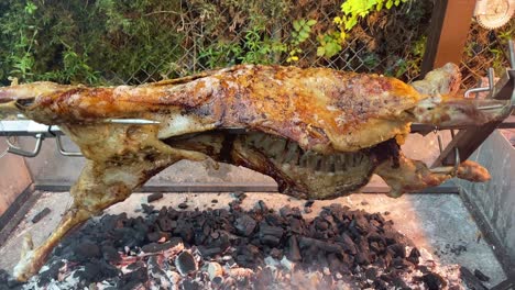 Ein-Ganzes-Lamm-über-Glühenden-Kohlen-Am-Spieß-Braten,-Lamm-Rotieren-Und-über-Offenem-Feuer-Garen