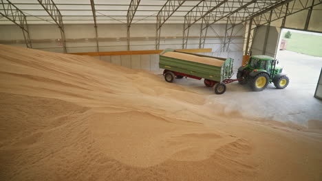 tractor unloading wheat inside grain storage after rich harvest