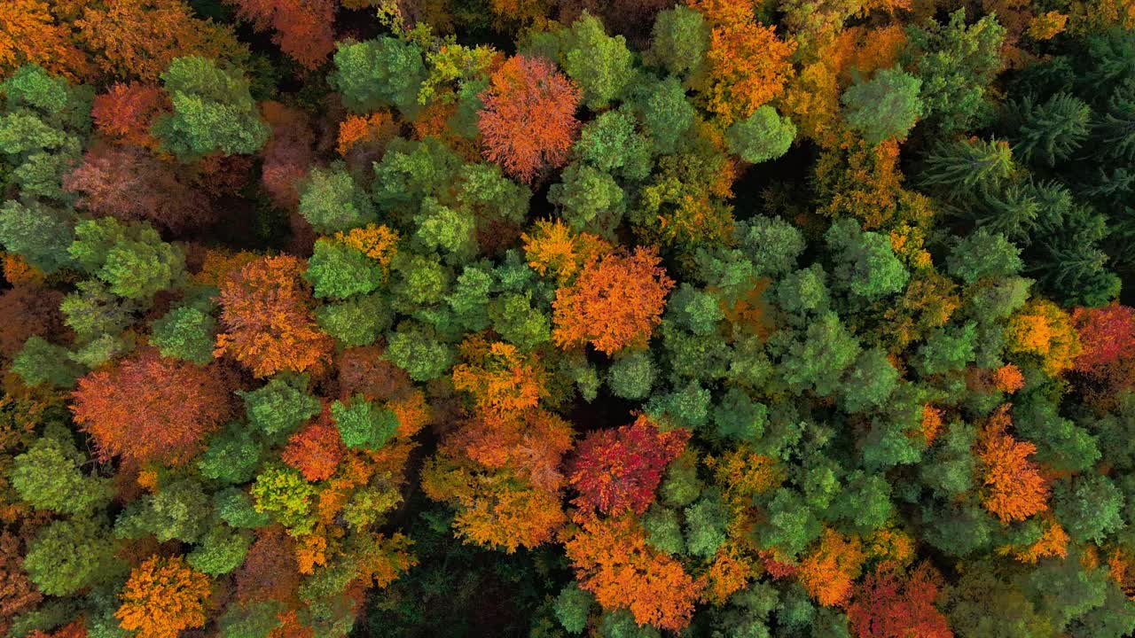 Stunning aerial 4K drone video of a Slovenia 's fall beauty