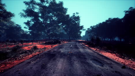 carretera que conduce a través de pequeñas colinas en el paisaje del bosque australiano