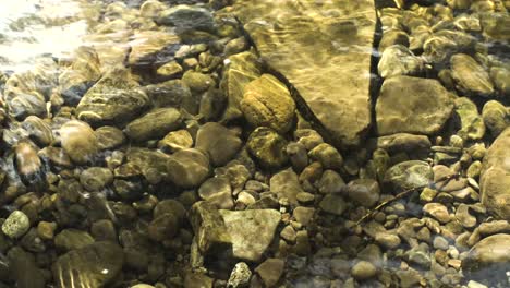 a crystal clear pool of water shows rocks and pebbles on a warm summers day