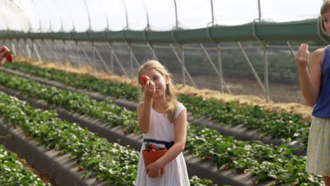 girls holding strawberries in the farm 4k