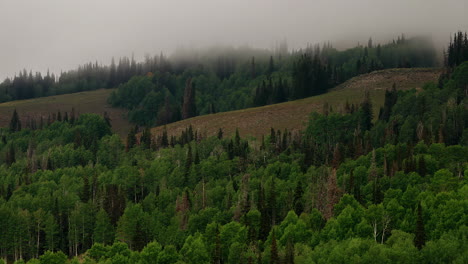 Nebelwolken-Ziehen-Bei-Sonnenaufgang-über-Wald-Und-Berge