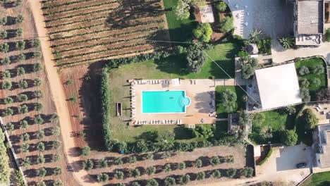 wide top down aerial footage that slowly rotates of a pool that is on a masseria olive farm in southern italy